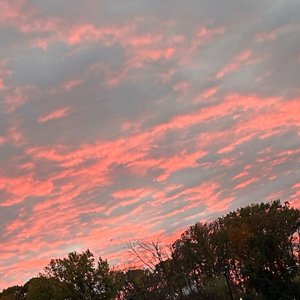 Meet your Posher, Isaiah